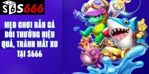 Mẹo Chơi Bắn Cá Đổi Thưởng Hiệu Quả, Tránh Mất Xu Tại S666
