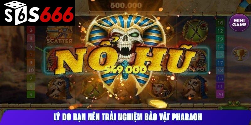 Lý do bạn nên trải nghiệm Bảo Vật Pharaoh
